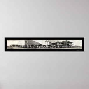 Poster Cheval automatique San Benito, TX. Photo 1911