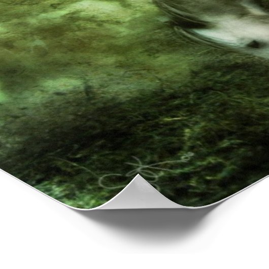 Poster cheval avec ailes deux (Coin)