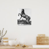 Poster Cheval avec harrow (Cuisine)