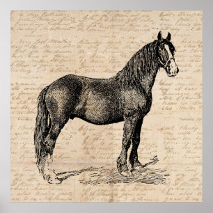 Poster Cheval avec papier de script