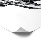 Poster Cheval Belly Art anatomique (Coin)