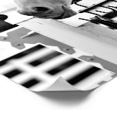 Poster Cheval blanc (Coin)