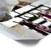 Poster Cheval Blanc (Coin)