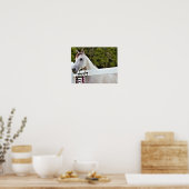 Poster Cheval Blanc (Cuisine)
