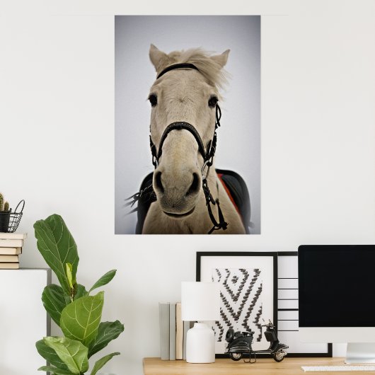 Poster Cheval blanc (Bureau à domicile)