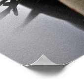 Poster Cheval blanc (Coin)