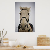 Poster Cheval blanc (Cuisine)
