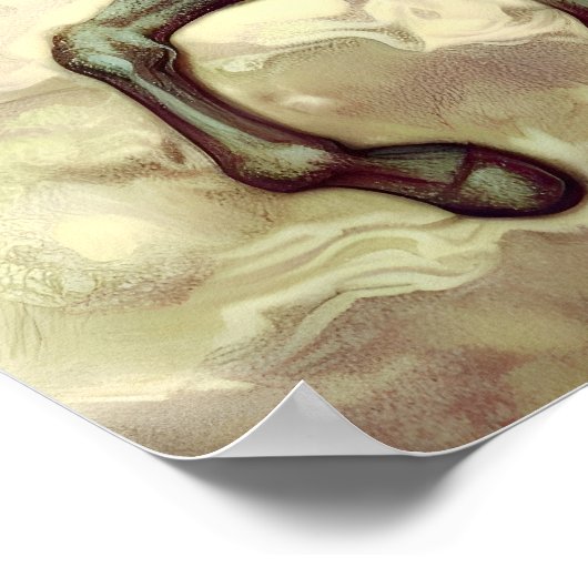 Poster Cheval blanc (Coin)