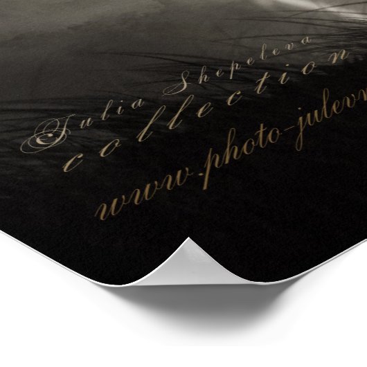 Poster Cheval blanc (Coin)