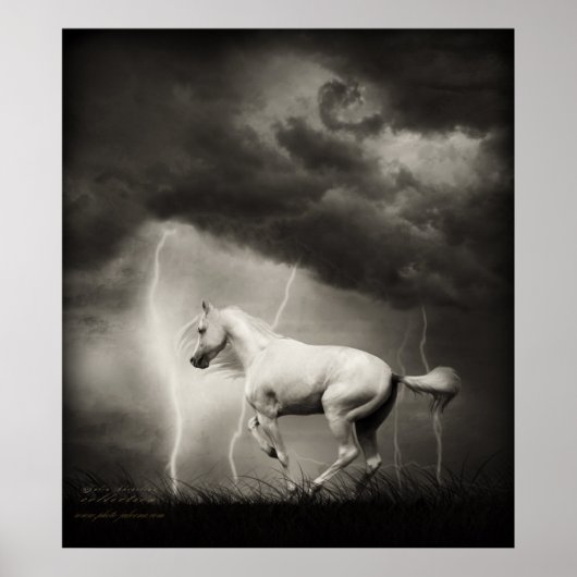 Poster Cheval blanc (Devant)