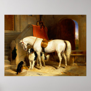 POSTER CHEVAL BLANC AVEC CHIENS ET FALCONS EN STABLE