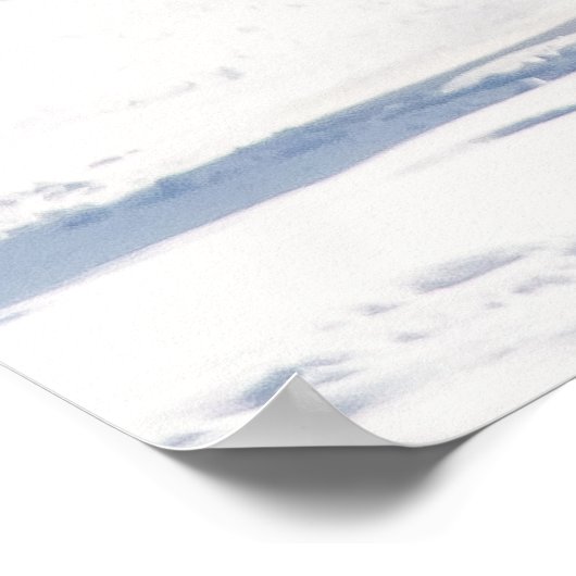 Poster Cheval Blanc Courant Dans La Neige (Coin)