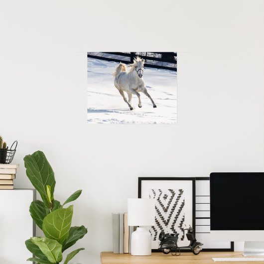 Poster Cheval Blanc Courant Dans La Neige (Bureau à domicile)