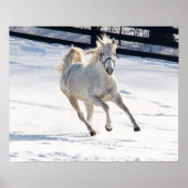 Poster Cheval Blanc Courant Dans La Neige (Devant)