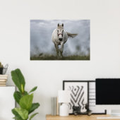 Poster Cheval Blanc Coureur (Bureau à domicile)