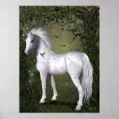 Poster Cheval blanc dans les bois avec colibris Imprimer (Devant)