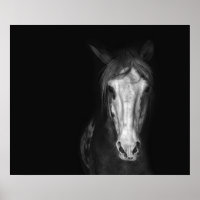 Cheval blanc noir moderne dramatique