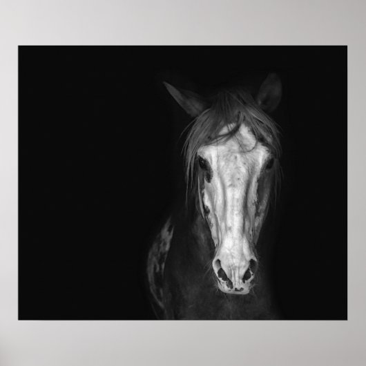 Poster Cheval blanc noir moderne dramatique (Devant)
