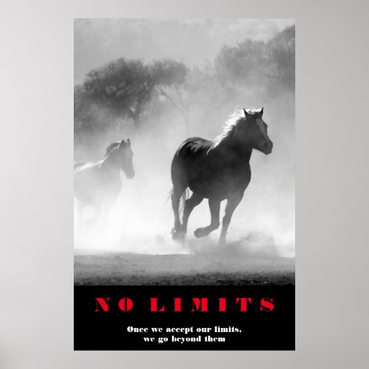 Poster Cheval Blanc Noir Motivation Sans Limites Oeuvre (Devant)