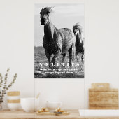 Poster Cheval Blanc Noir Motivation Sans Limites Oeuvre (Cuisine)
