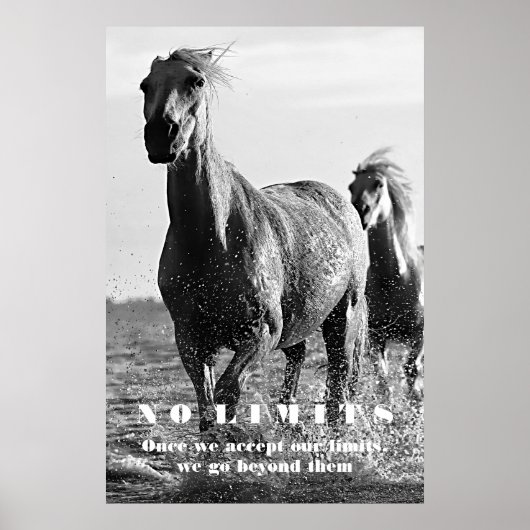 Poster Cheval Blanc Noir Motivation Sans Limites Oeuvre (Devant)