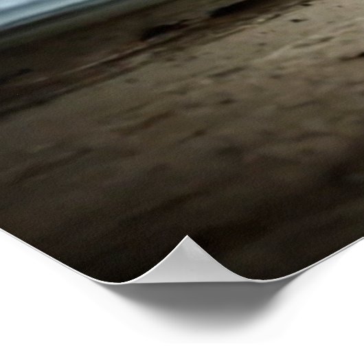 Poster Cheval Blanc Sur La Plage (Coin)