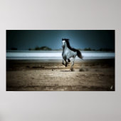 Poster Cheval Blanc Sur La Plage (Devant)