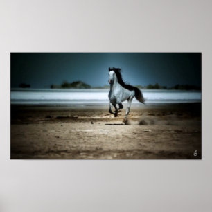 Poster Cheval Blanc Sur La Plage