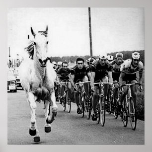 Poster Cheval Blanc Tour De France 1975 Couleur Redux