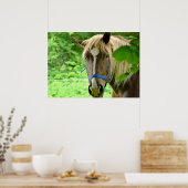 Poster Cheval Brown Belge Brouillon Photo (Cuisine)