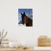 Poster Cheval Brown en hiver (Cuisine)