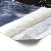 Poster Cheval Brown en hiver (Coin)