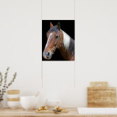 Poster cheval Brown et blanc (Cuisine)