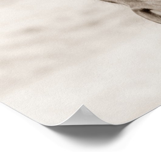 Poster Cheval Brown Sepia (Coin)