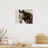 Poster Cheval Brown Sepia (Cuisine)
