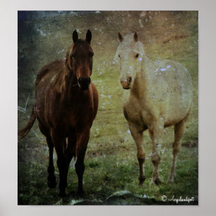 Poster Cheval Buddies Grunge