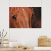 Poster Cheval caché (Cuisine)