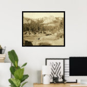 Poster Cheval Chaussure Courbe Buckhorn Mountain SD 1891 (Bureau à domicile)