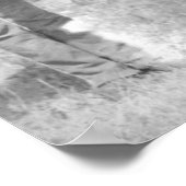 Poster Cheval "Comanche" le seul Survivant du Custer (Coin)