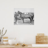 Poster Cheval "Comanche" le seul Survivant du Custer (Cuisine)