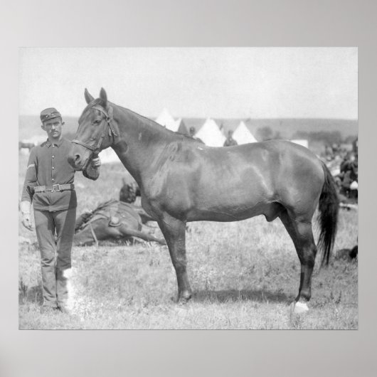 Poster Cheval "Comanche" le seul Survivant du Custer (Devant)