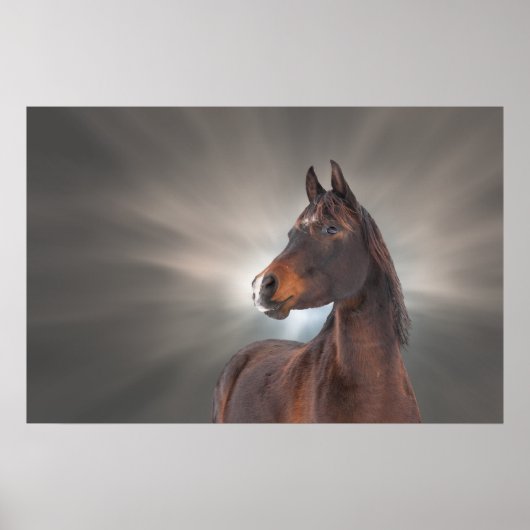 Poster Cheval contre nuages (Devant)