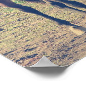 Poster Cheval convivial, Cheval timide (Coin)