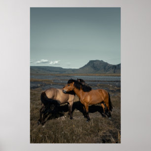 POSTER CHEVAL COUPLE