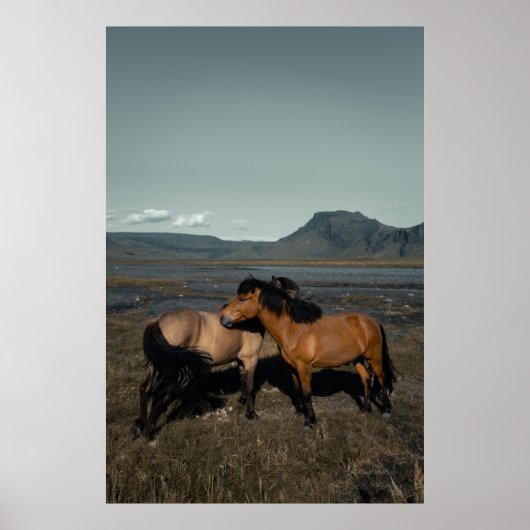 POSTER CHEVAL COUPLE (Devant)