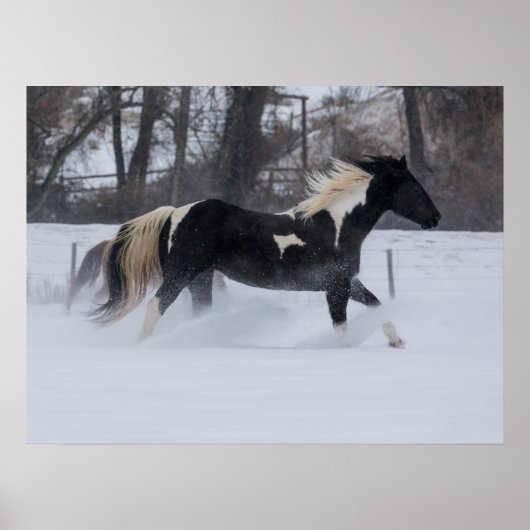 Poster Cheval courant à travers la neige (Devant)