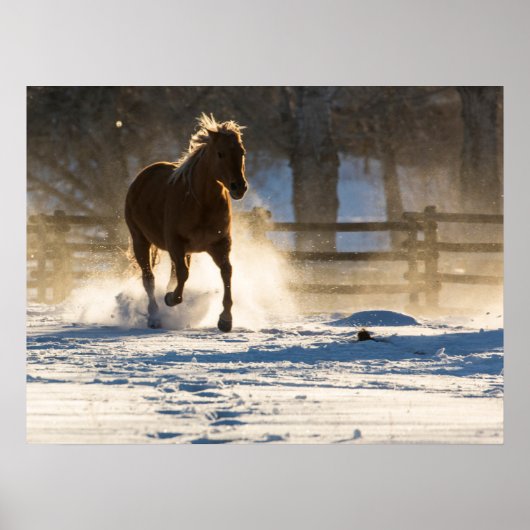 Poster Cheval courant à travers la neige (Devant)