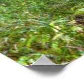 Poster Cheval dans le pré (Coin)