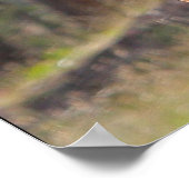 Poster Cheval Dans Les Bois (Coin)