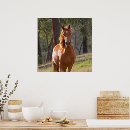 Poster Cheval Dans Les Bois (Cuisine)